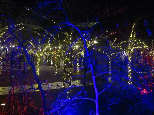 Wisley — licensed photograph