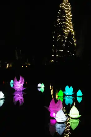Wakehurst Place, "Glow Wild", December 2014