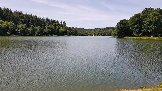 Shearwater Lake on the Longleat estate