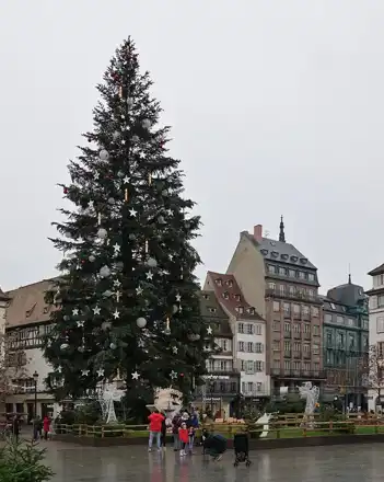 Nearby · Christmas tree on Place Kléber in Strasbourg